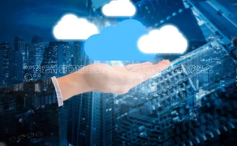 jinnianhui金年会携程**在云计算领域主宰全球：国际数据中心的龙头之
争**