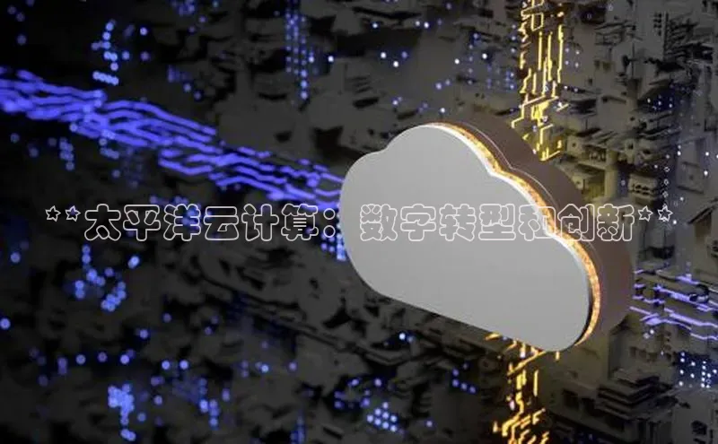 金年会官网登录入口百度手机输入法**太平洋云计算：数字转型和创新**