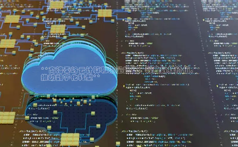 金年会诚信信誉至上百度网盘企业版**商洛秦岭云计算和海量数据：释放数据价值，
推动数字化转型**
