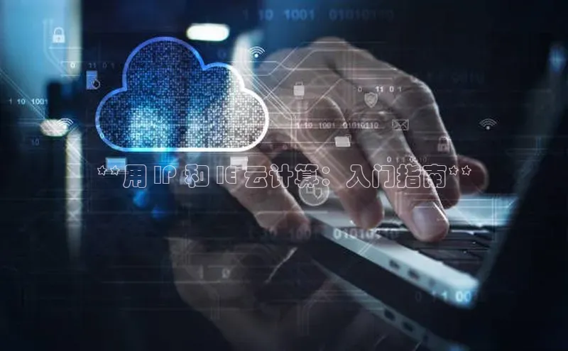 金字招牌诚信至上今年会普信公司**用 IP 和 IE 云计算：入门指南**