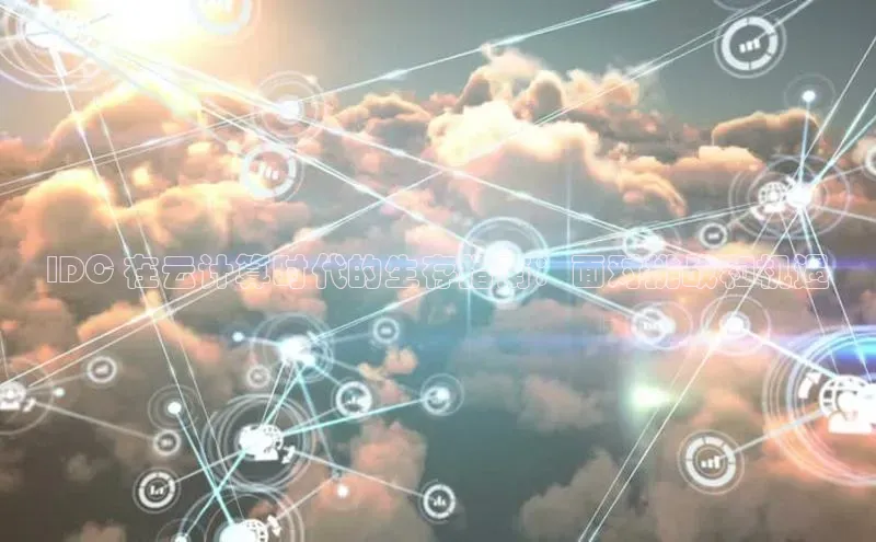 金年会-金字招牌百家号IDC 在云计算时代的生存指南：面对挑战和机遇
