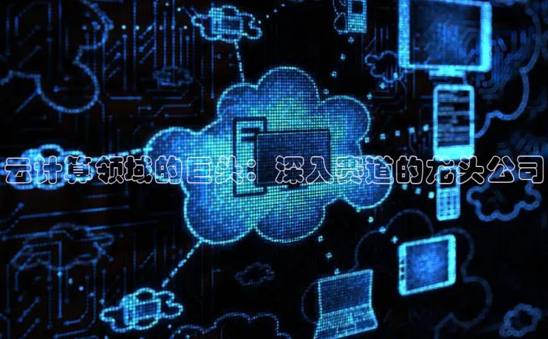 金年会官网登录入口百度手机输入法云计算领域的巨头：深入赛道的龙头公司