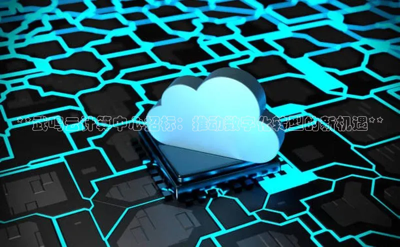 金年会体育一径科技**武鸣云计算中心招标：推动数字化转型的新机遇**