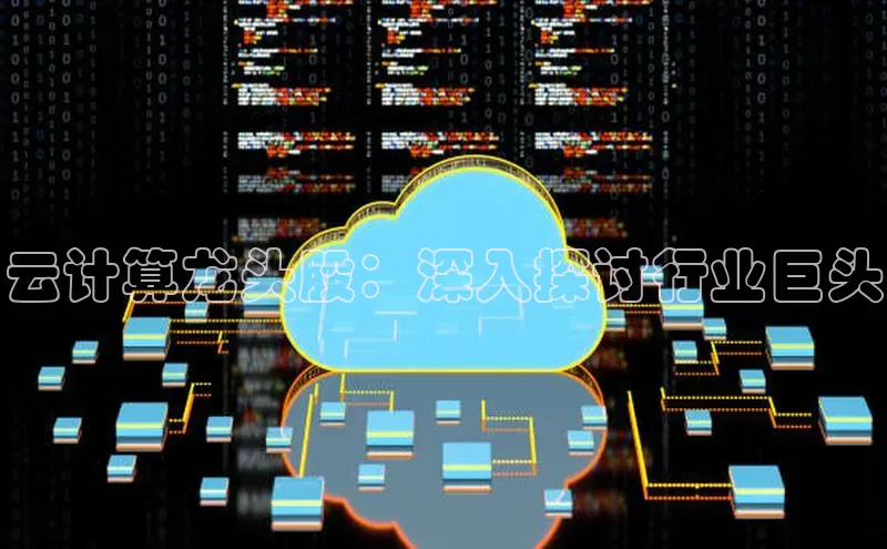 金年会vip百度百聘云计算龙头股：深入探讨行业巨头