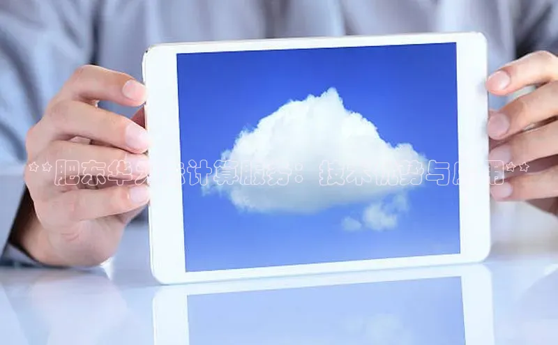 金年会vip轻美电器**肥东华为云计算服务：技术优势与应用**