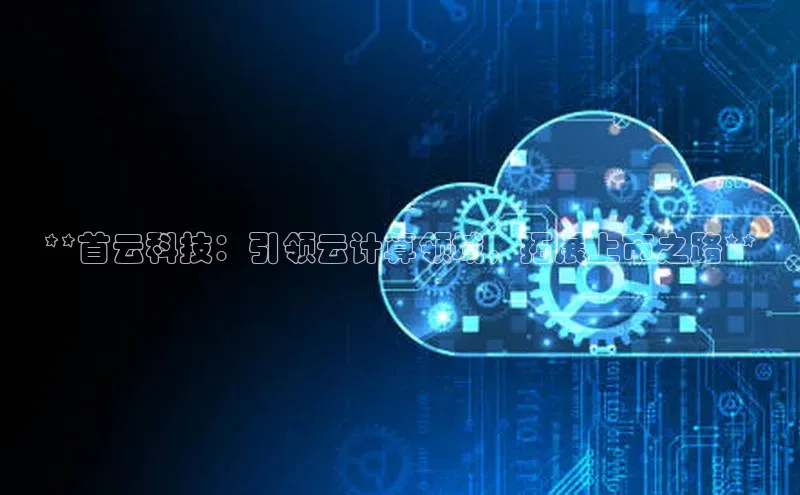 金年会电子游戏app诸葛科技**首云科技：引领云计算领域，拓展上市之路**