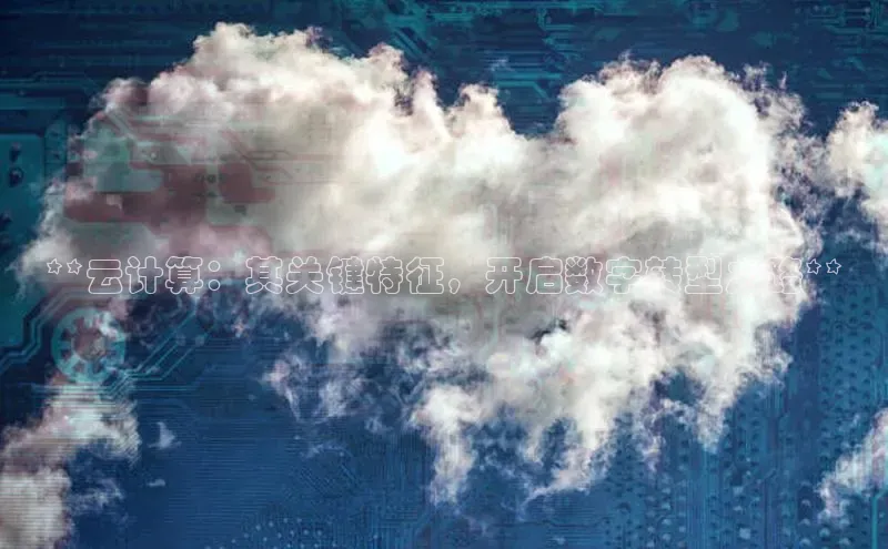 金年会vip百度百聘**云计算：其关键特征，开启数字转型之路**