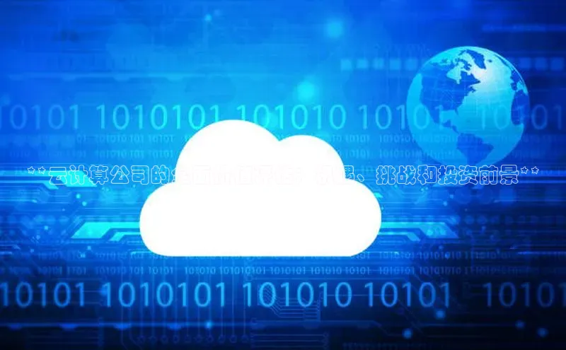 jinnian金年会登录入口挪威主权基金**云计算公司的全面价值评估：机遇、挑战和投资前景**