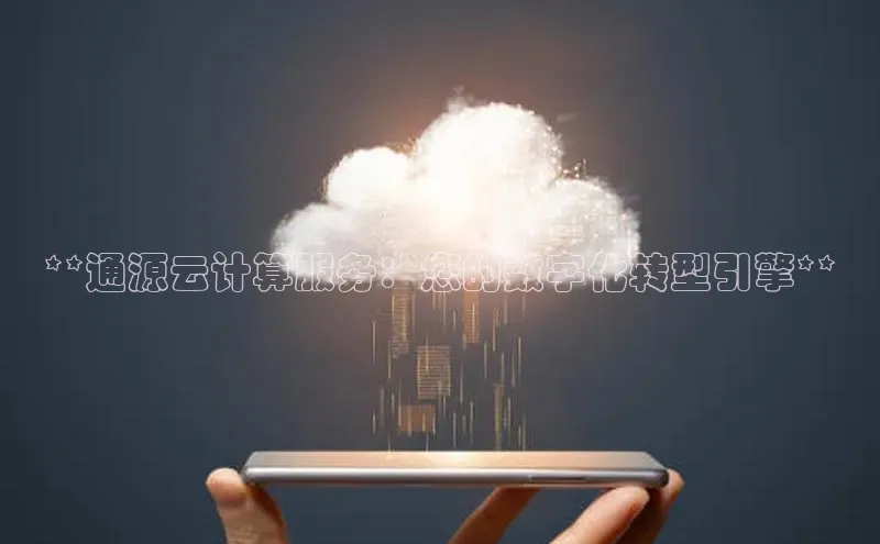 金年会体育百度集团**通源云计算服务：您的数字化转型引擎**