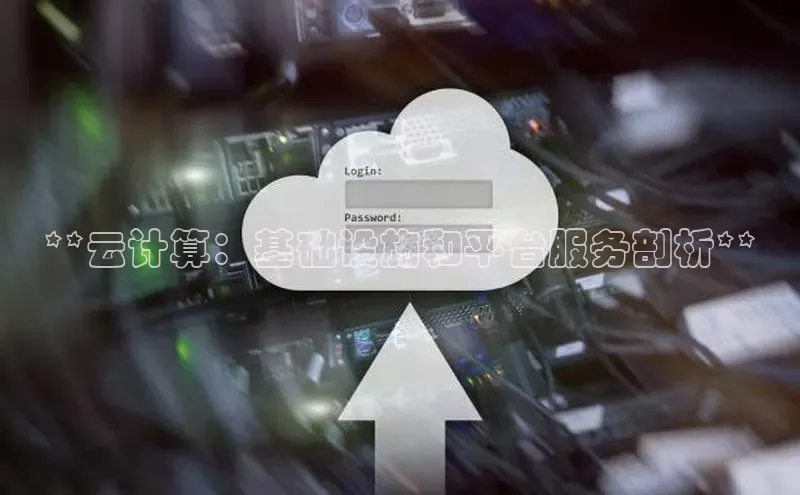 金年汇app官方网站下载安装颐驰 06**云计算：基础设施和平台服务剖析**