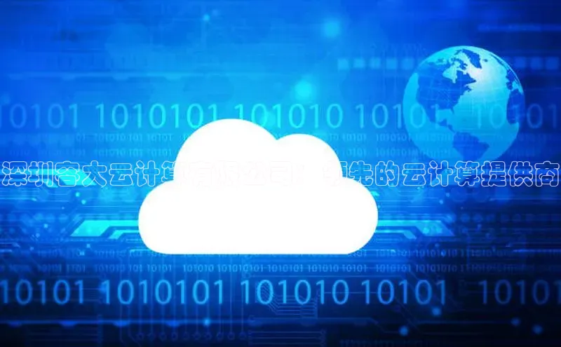 金年会电子游戏app官方百度人工翻译深圳容大云计算有限公司：领先的云计算提供商