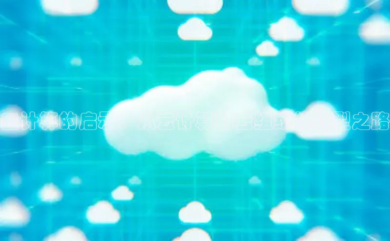 金年会vip轻美电器云计算的启示：从云计算到云组织的转型之路