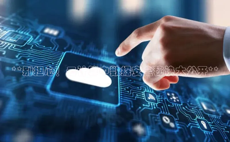 金年会vip轻美电器**别担心！云计算中数据安全秘诀大公开**