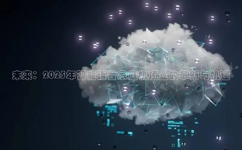 金年会 金字招牌诚信至上ARGA公司未来：2025年智能语音家庭机顶盒的革新与机遇